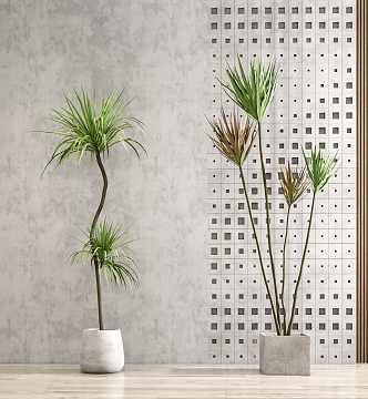 Modern potted plants 3d model