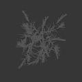 Healthy Green Crop Plant With Long Leaves And Seed Spikes Growing Vigorously