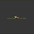 Cartoon Reptile Crocodile With Open Mouth Sharp Teeth On Muddy Ground And Green Grass