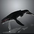 Dark Colored Whale 3D Model With Open Mouth On Gray Gradient Background