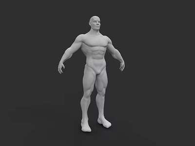 White Muscular Man 3D Human Model with Well Defined Physique in Standing Position 3d model