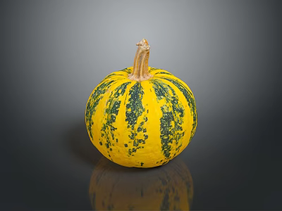 Fresh Yellow And Green Spotted Pumpkin As Seasonal Autumn Vegetable On Dark Background 3d model