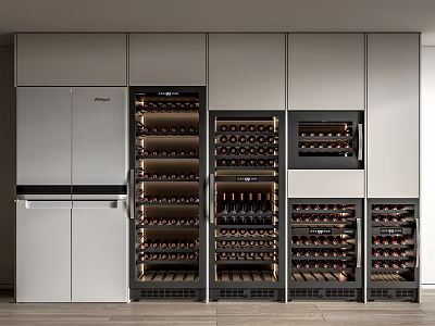Modern Built in Wine Cabinet With Multiple Racks And Neatly Arranged Bottles 3d model
