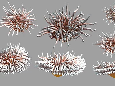 Colorful Aquatic Plants With Pink And White Tentacles In Underwater Environment 3d model