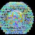 3D Molecular Rendering of Spherical Virus Structure with Colorful Protein Subunits
