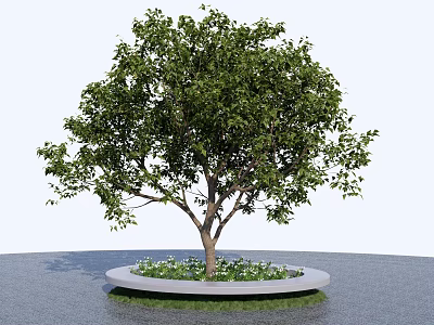Circular Tree Pit With Green Tree And Small Plants On Paved Ground 3d model