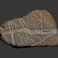 Natural Brown Stone with Unique White Veins and Smooth Surface in Natural Shape 3d model