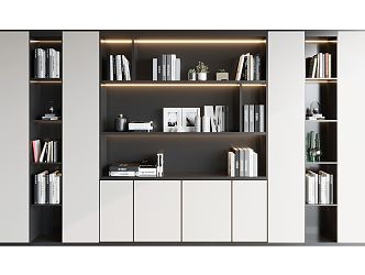 Modern bookcase 3d model