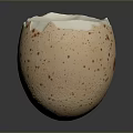 Speckled Boiled Egg With Runny Yolk And Smooth White For Daily Use