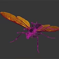 Vibrant Insect With Yellow Orange Wings Black Body And Blue Head Detailed Features
