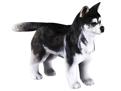 Detailed Black And White Husky Plush Stuffed Animal In Standing Pose 3d model