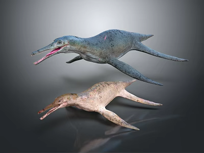 Prehistoric Aquatic Reptile Models With Long Snouts In Different Colors 3d model
