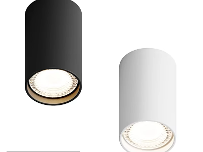 Modern Minimalist Cylindrical Ceiling Lights Black and White Indoor Lighting Fixtures 3d model