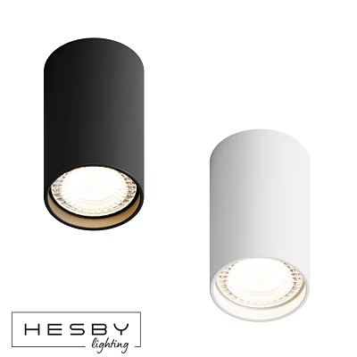 Modern Minimalist Cylindrical Ceiling Lights Black and White Indoor Lighting Fixtures 3d model