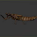 Detailed 3D Rendered Brown Striped Mantis Insect on Dark Background