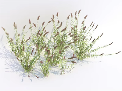 3D Rendered Green Decorative Grass Plants With Purple Spikes And Natural Look 3d model