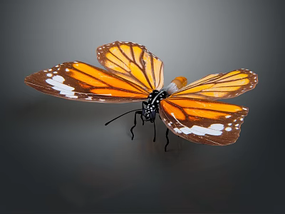 Vibrant Orange And Brown Butterfly With Detailed Wings And White Spots On Dark Backdrop 3d model