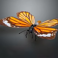 Vibrant Orange And Brown Butterfly With Detailed Wings And White Spots On Dark Backdrop