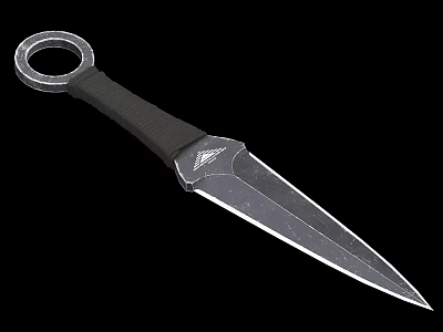 Tactical Weapon Knife With Black Handle And Silver Sharp Blade Ring Pommel 3d model
