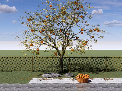 Fruit Bearing Arbor With Ripe Orange Fruits Green Lawn Bamboo Fence And Wicker Basket 3d model