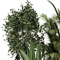 Various Potted Plants With Decorative Woven And Ceramic Pots For Indoor Greenery