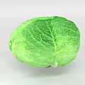 Fresh Green Cabbage with Vibrant Leafy Texture Perfect for Healthy Salads and Recipes