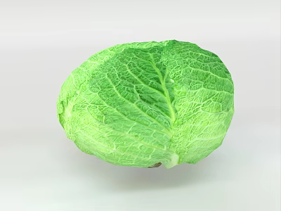 Fresh Green Cabbage with Vibrant Leafy Texture Perfect for Healthy Salads and Recipes 3d model