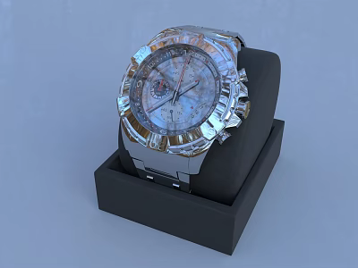 Elegant Stainless Steel Watch with Chronograph Dial in Black Display Box 3d model