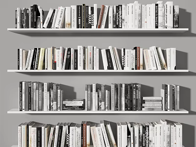 Stylish Books and Magazines Arranged on Multiple Gray Shelves with Various Sizes 3d model