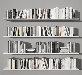 Modern Books 3d model