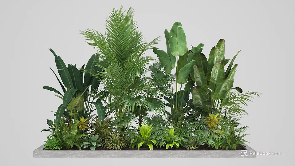 Lush Tropical Indoor Plants Arrangement With Various Green Foliage And Leaves 3d model 