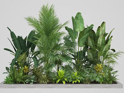 Lush Tropical Indoor Plants Arrangement With Various Green Foliage And Leaves 3d model