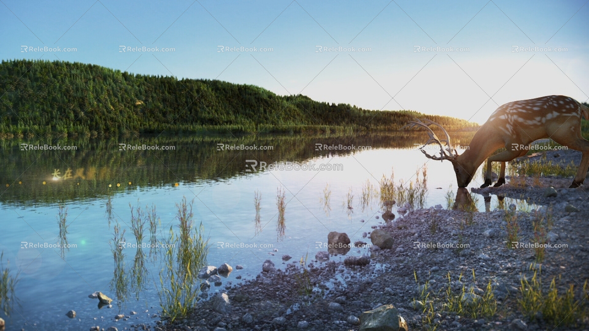 Modern Park Ecological Wetland Park Sika Deer 3d model