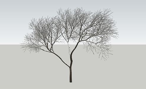 Modern trees with snow 3d model