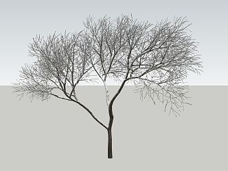 Modern trees with snow 3d model