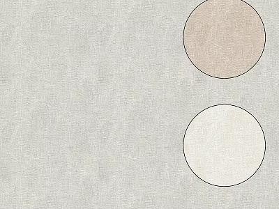 Gray Textured Background With Two Colored Circles Light Brown And Off White 3d model