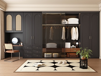 French Style Wardrobe Cloakroom Push-pull Wardrobe Dressing Table Wardrobe One-piece 3d model