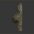 Rustic Wooden Stump Ornament Featuring Bark Texture Burl And Moss Accents