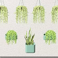 Hanging Basket Plants Balcony Decor With Various Green Succulents And Spider Plants