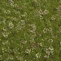 Purple Wildflowers and Green Grass with Slender Stems Under Light Blue Sky