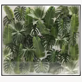 Indoor Green Plant Wall With Monstera Banana And Palm Leaves For Home Decoration