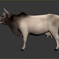 Realistic 3D Cow With Pink Horns And Light Pink Dark Brown Fur 3d model