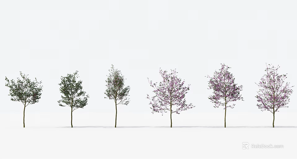 Different Colored Arbor Trees With Green Foliage And Purple Flowers On White Background 3d model 