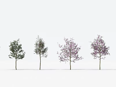 Different Colored Arbor Trees With Green Foliage And Purple Flowers On White Background 3d model