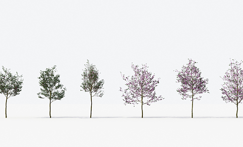 Modern Trees Small Trees 3d model