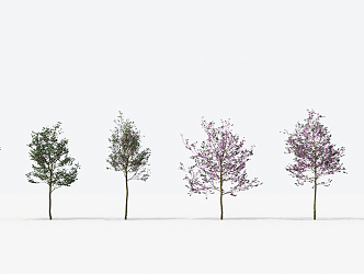 Modern Trees Small Trees 3d model