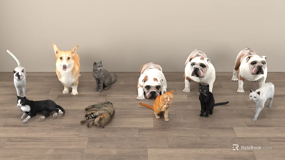 Different Reptile Species Including Lizards Turtles And Snakes On Wooden Floor 3d model 