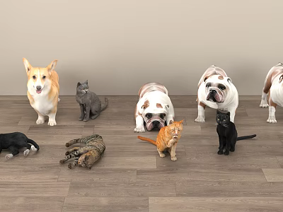 Different Reptile Species Including Lizards Turtles And Snakes On Wooden Floor 3d model