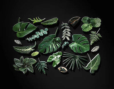 Tropical Green Leaf Wall Decor With Monstera Fern And Palm Elements 3d model