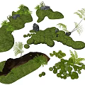 Micro Landform Design With Green Moss Small Stones Ferns And Wooden Logs